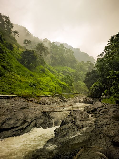 Free Scenic river surrounded by lush green forests and misty hills in East Java, Indonesia. Stock Photo