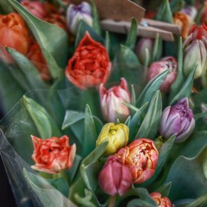 Tulip arrangement with blank gift tags