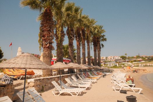Relaxing summer day on a sandy beach lined with palm trees and loungers.