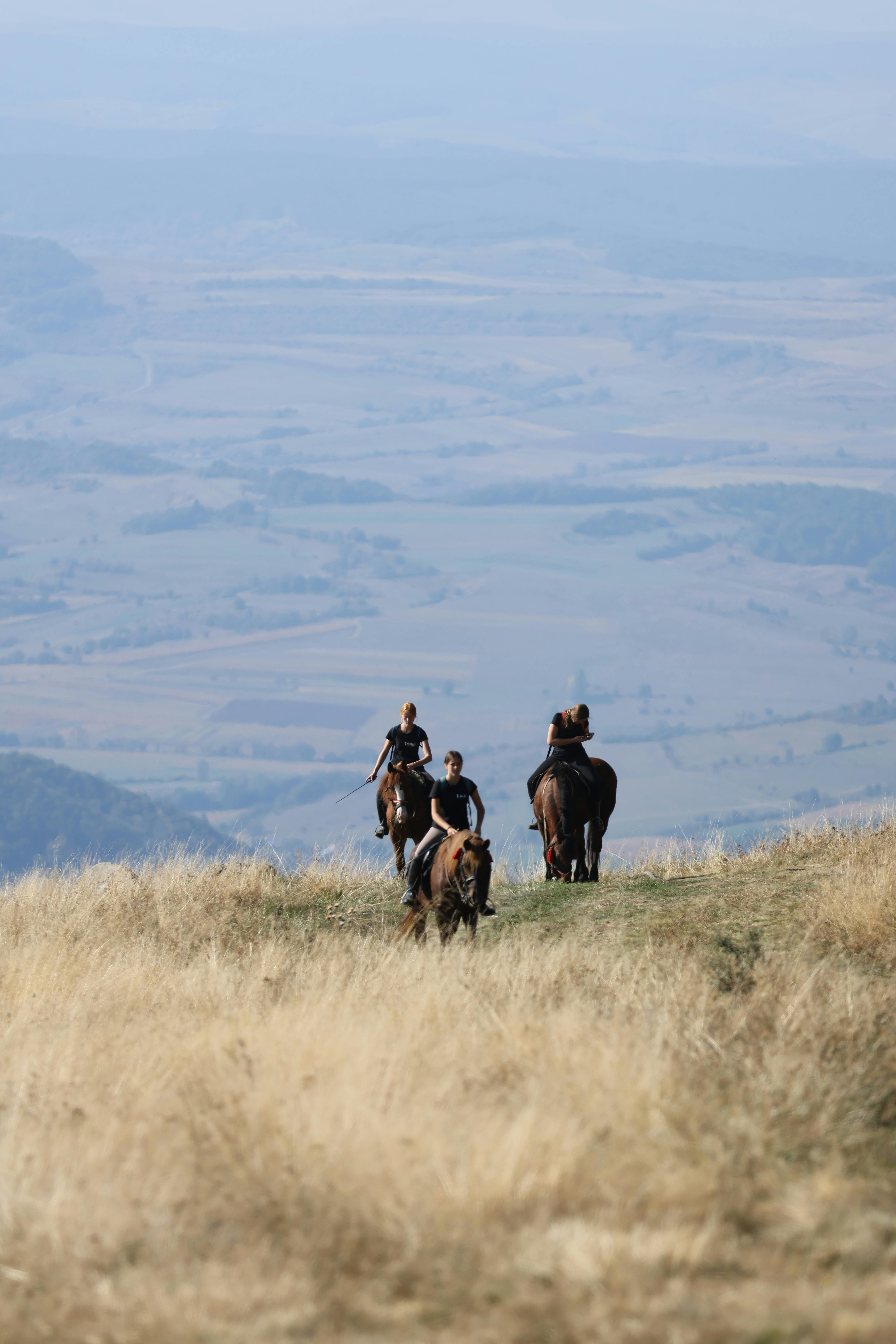 Ride Like a Transylvanian – Horseback Adventure Near Cluj-Napoca — day trip from Cluj-Napoca
