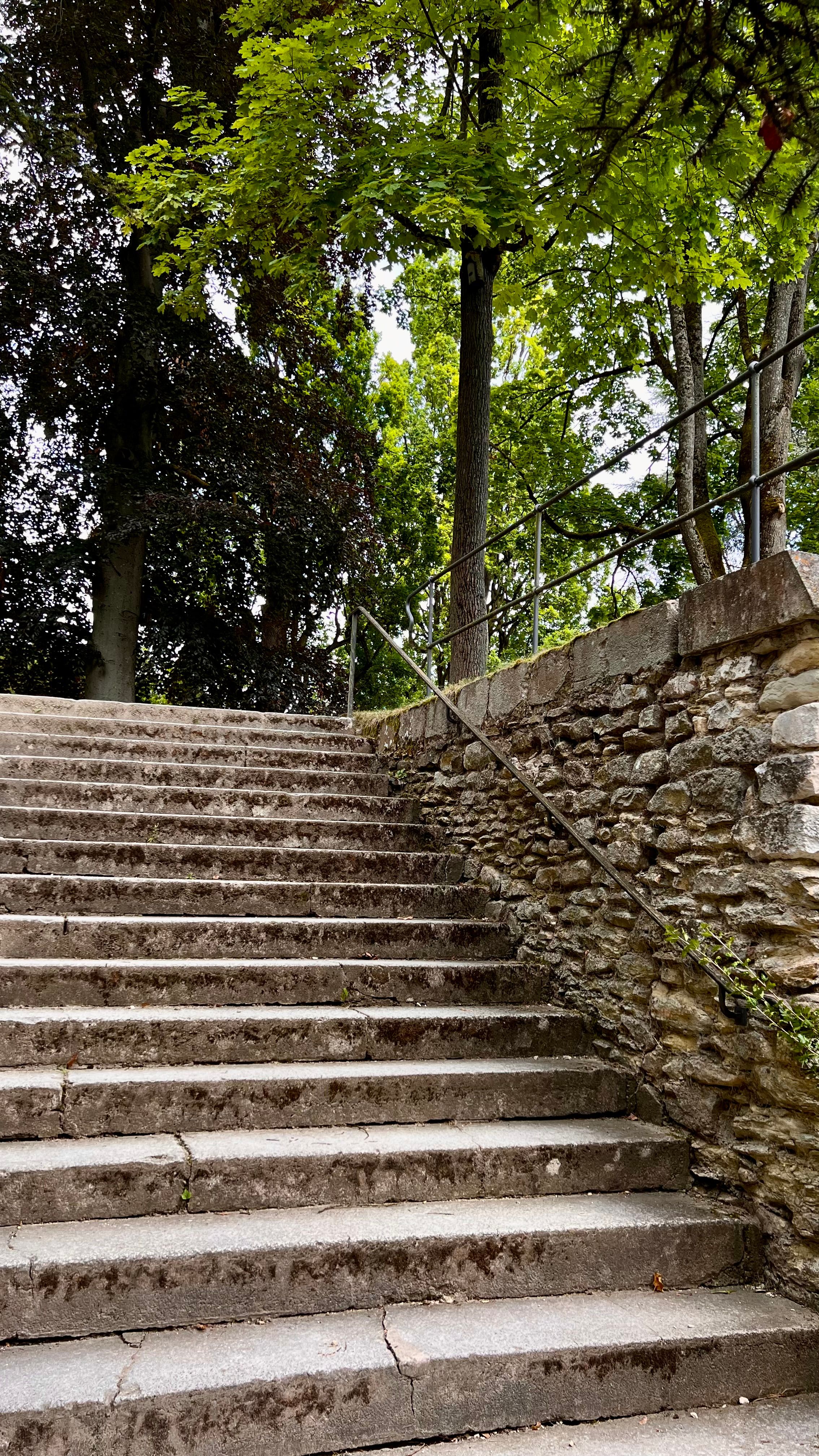 Stone Steps Leading into a Lush Green Park · Free Stock Photo