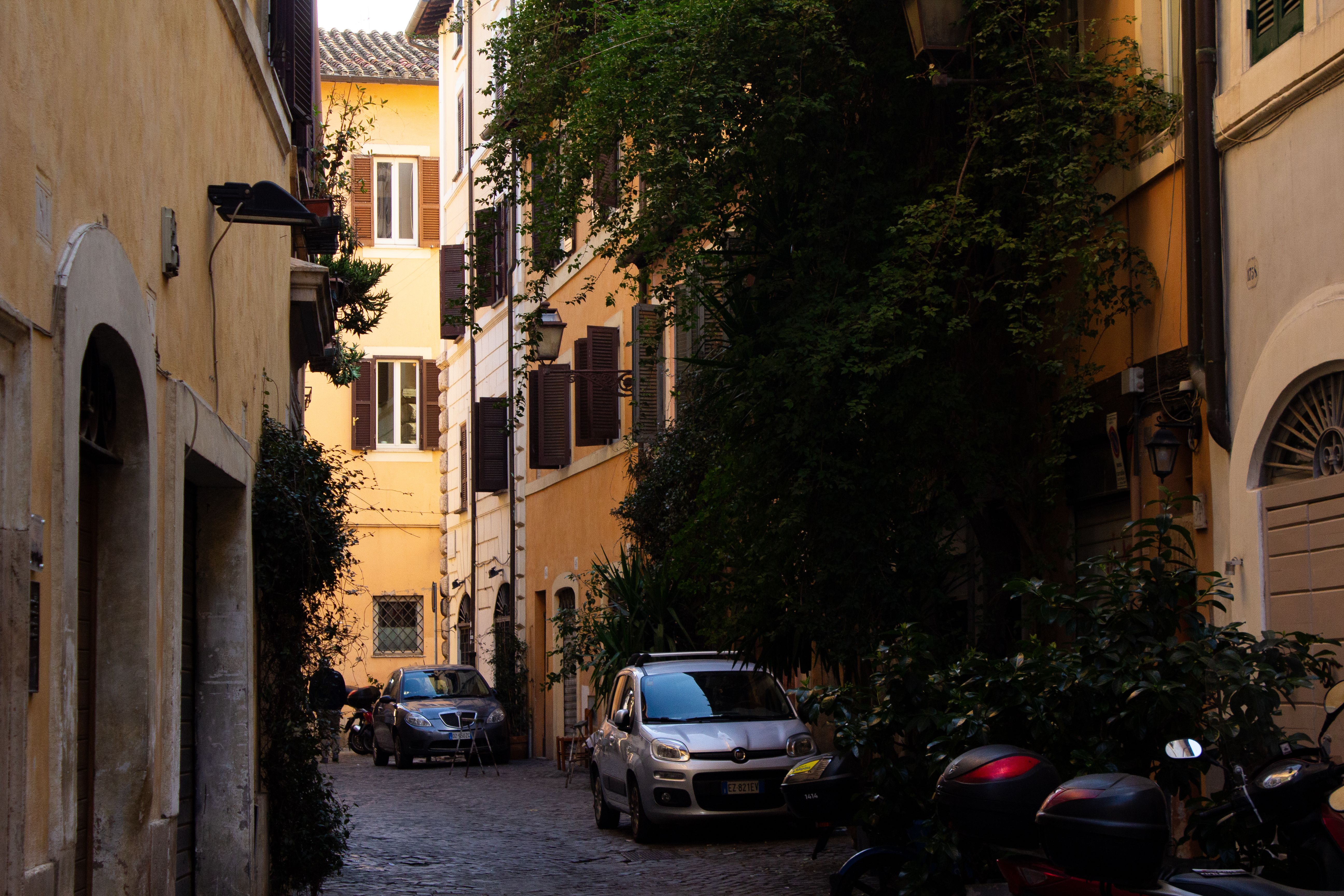A narrow cobblestone street lined with historic buildings and greenery, evoking old-world charm.