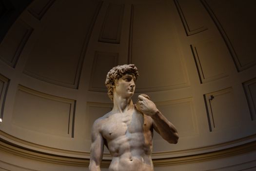 Marble statue of David in indoor gallery setting, Florence, Italy.
