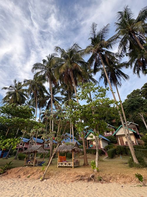 Free Tropical houses by the beach surrounded by tall palm trees under a cloudy sky. Stock Photo