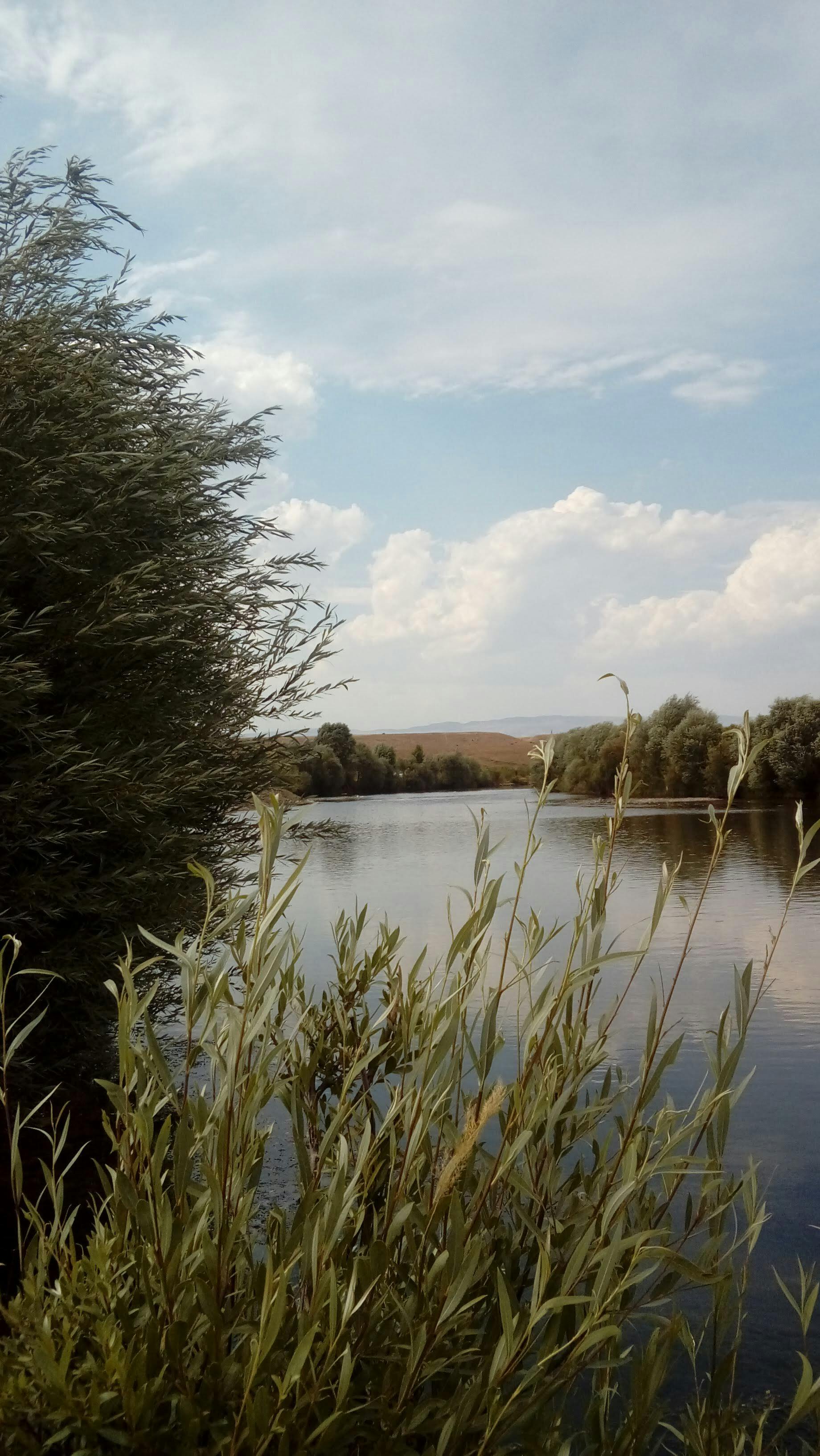 Peaceful riverside view with lush greenery and a calm sky overhead.