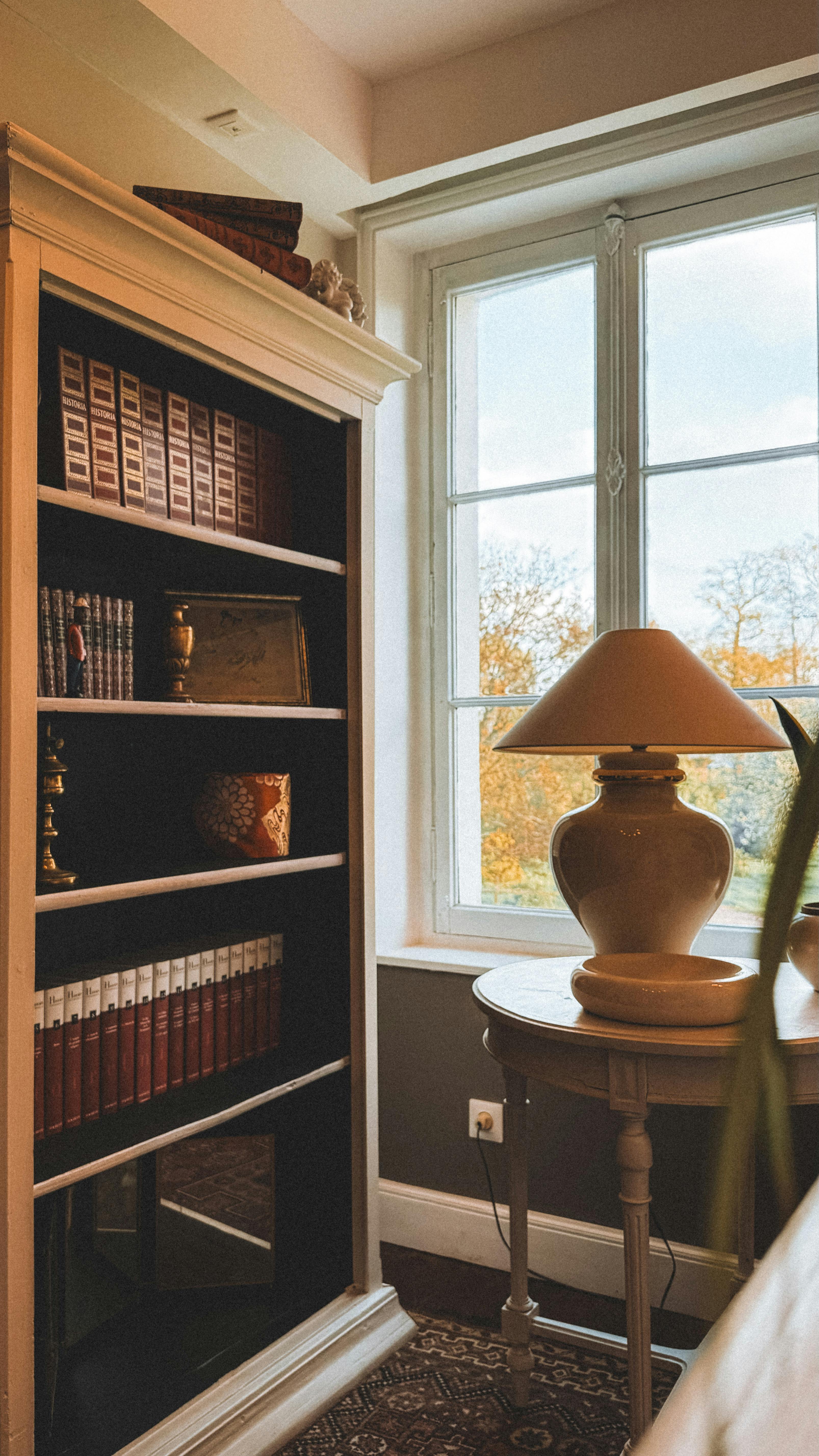 cozy reading nook by sunlit window