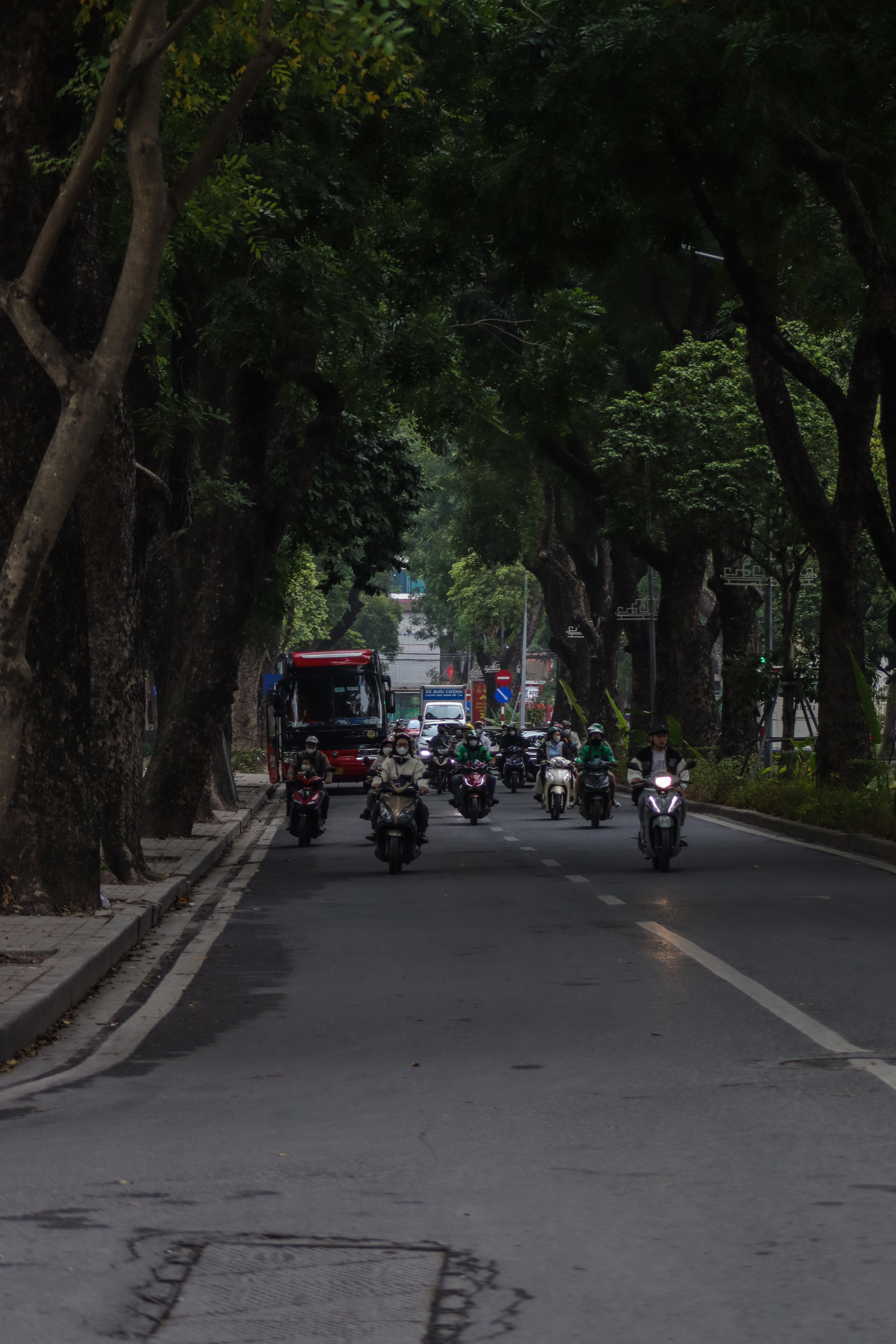 Motorcycles and vehicles navigate a tree-lined street in Hanoi, Vietnam, showcasing urban traffic.