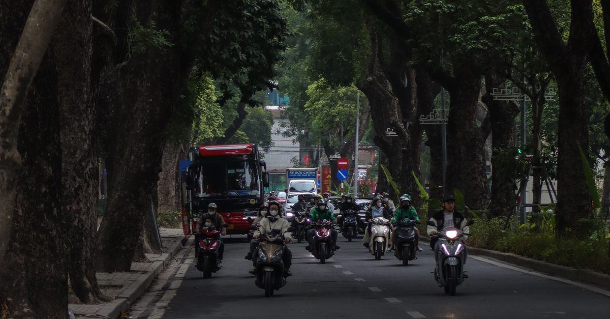 Motorcycles and vehicles navigate a tree-lined street in Hanoi, Vietnam, showcasing urban traffic.