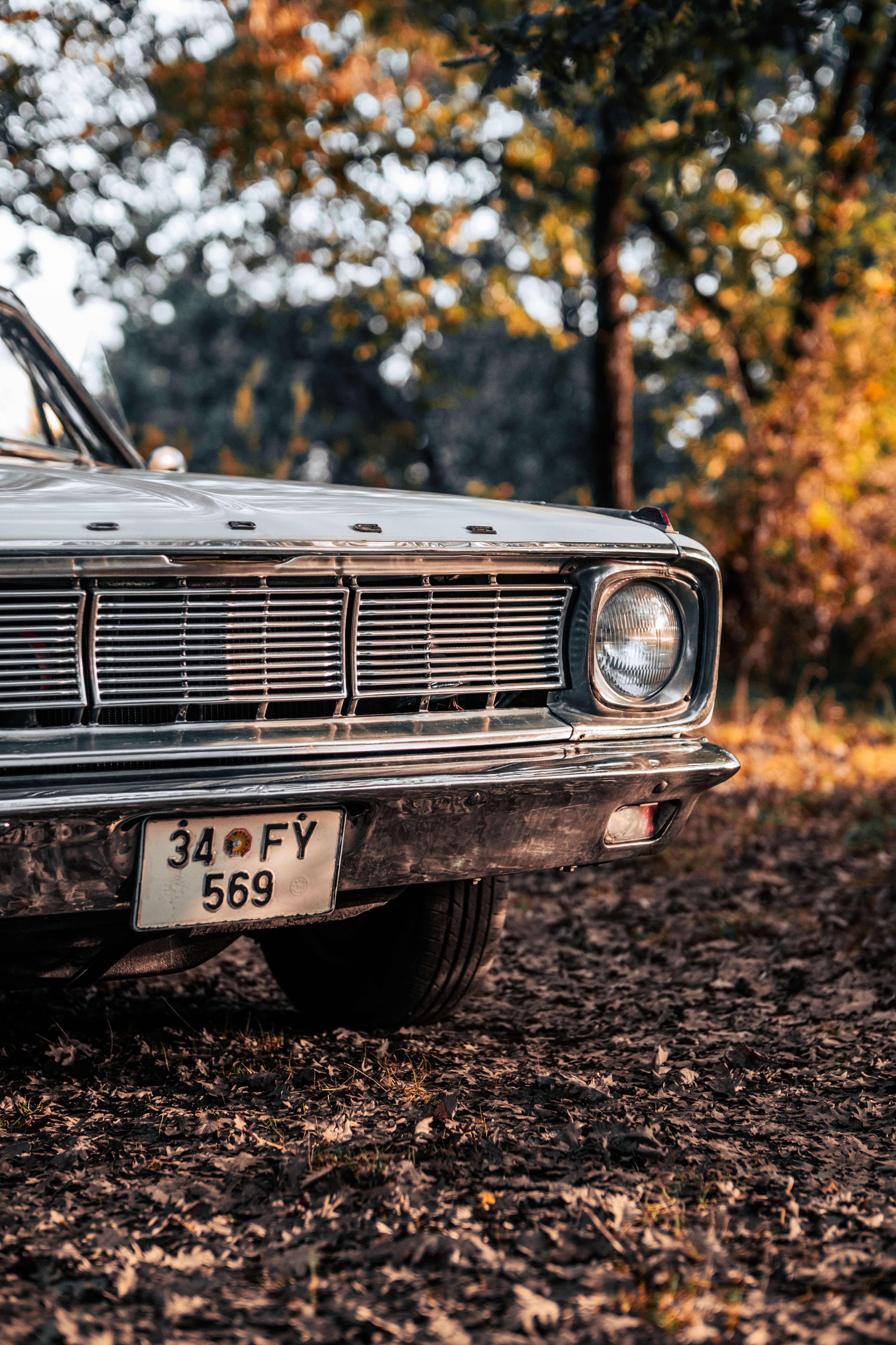 Vintage Car in Autumn Park Setting · Free Stock Photo