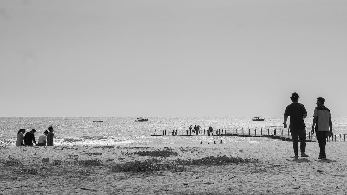 Nude Beach Walking Photos, Download The BEST Free Nude Beach Walking Stock Photos & HD Images
