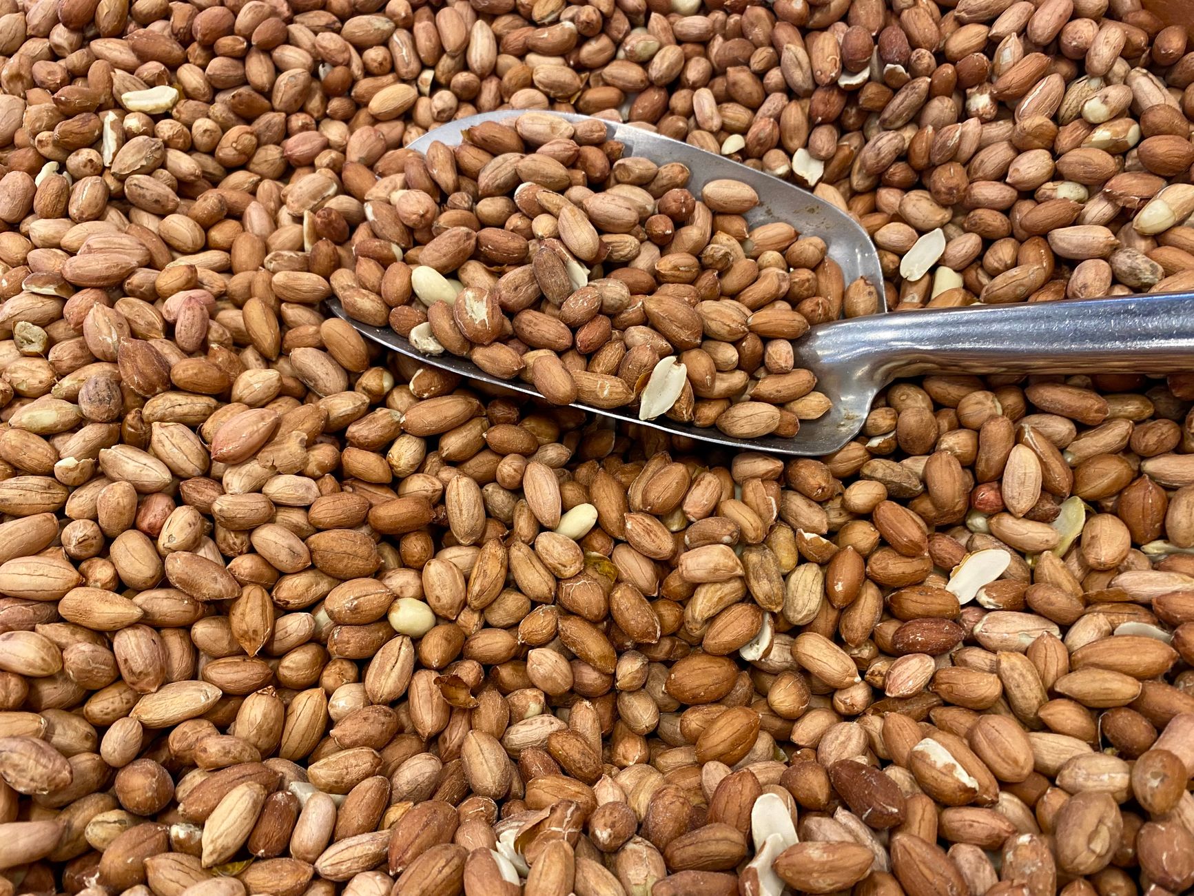 Halal-certified protein snacks array