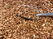 Close-up of Raw Peanuts with Metal Scoop