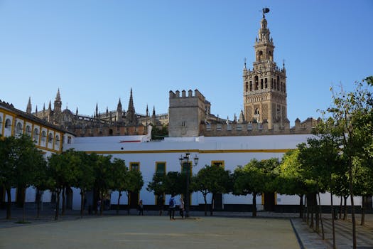 View of the iconic Giralda Tower and Seville Cathedral bathed in daylight, with trees in the foreground.