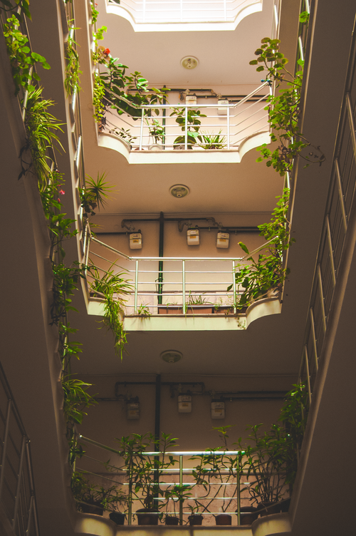 Free Vertical view of a green-filled apartment atrium with cascading plants and natural light. Stock Photo