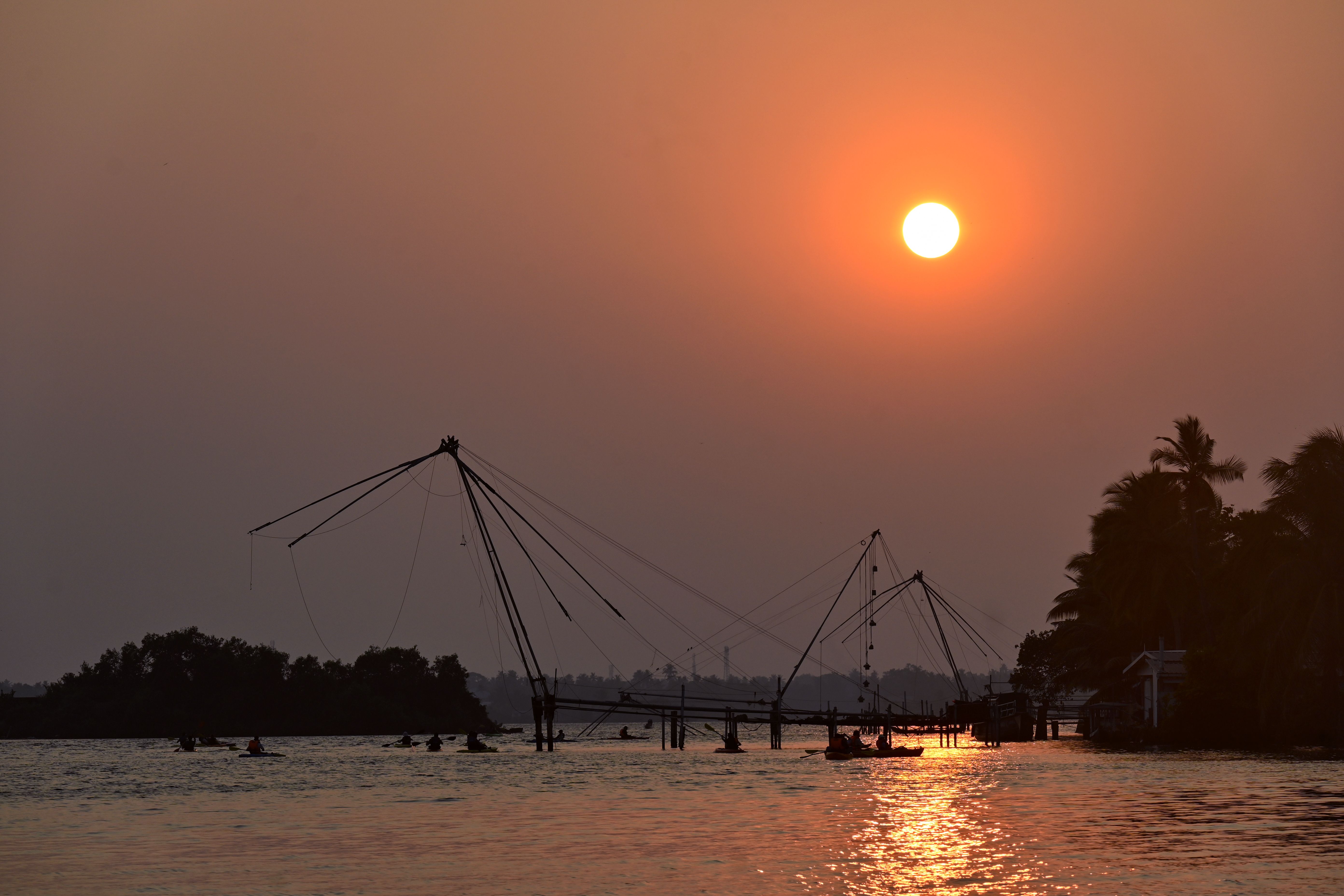 The Periyar river running past palm-lined banks near Kodanad village, Ernakulam district