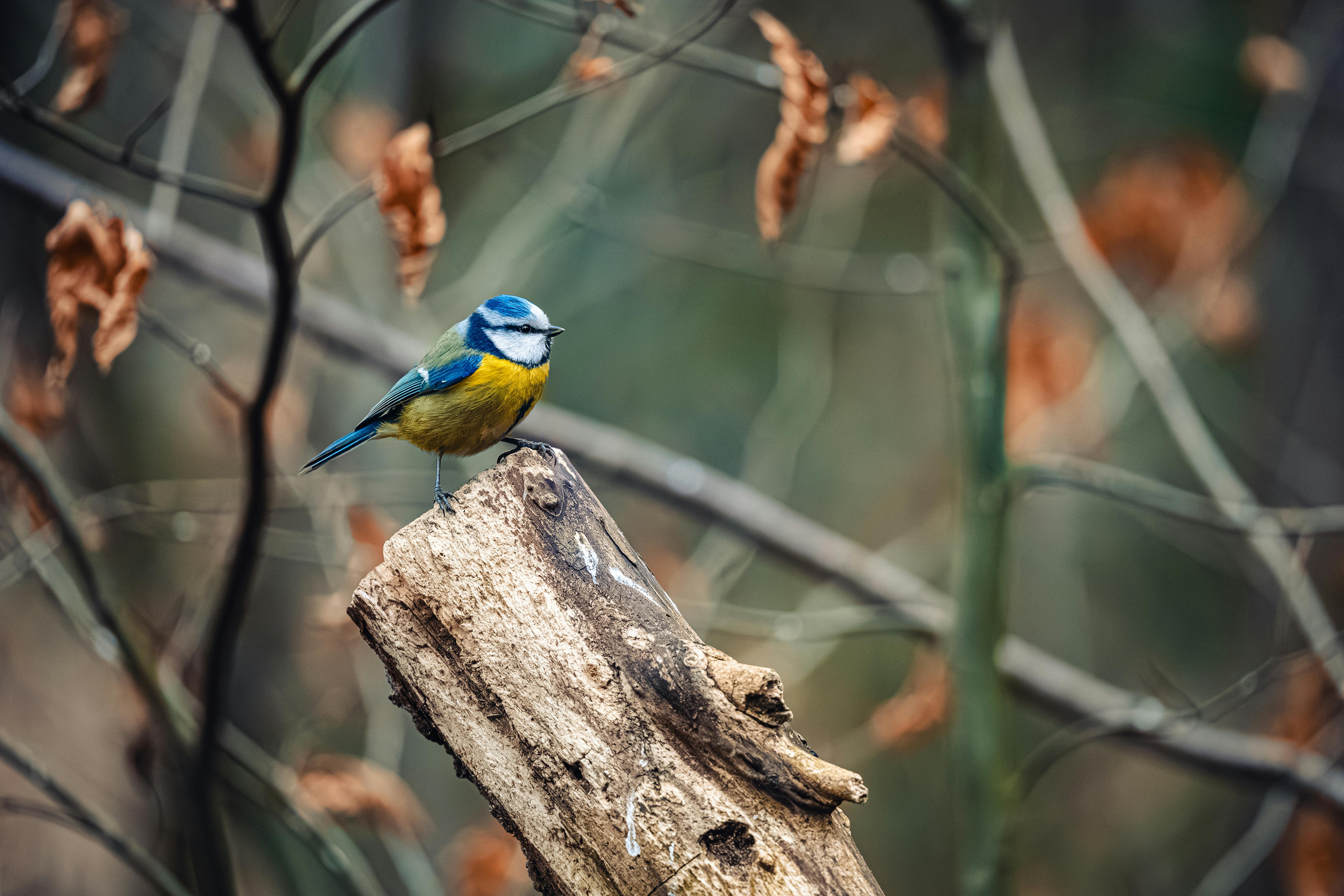 LOGGED IN LOG INED LOGIN ED LOGINED LOG IN ED LOGGED visual data 4