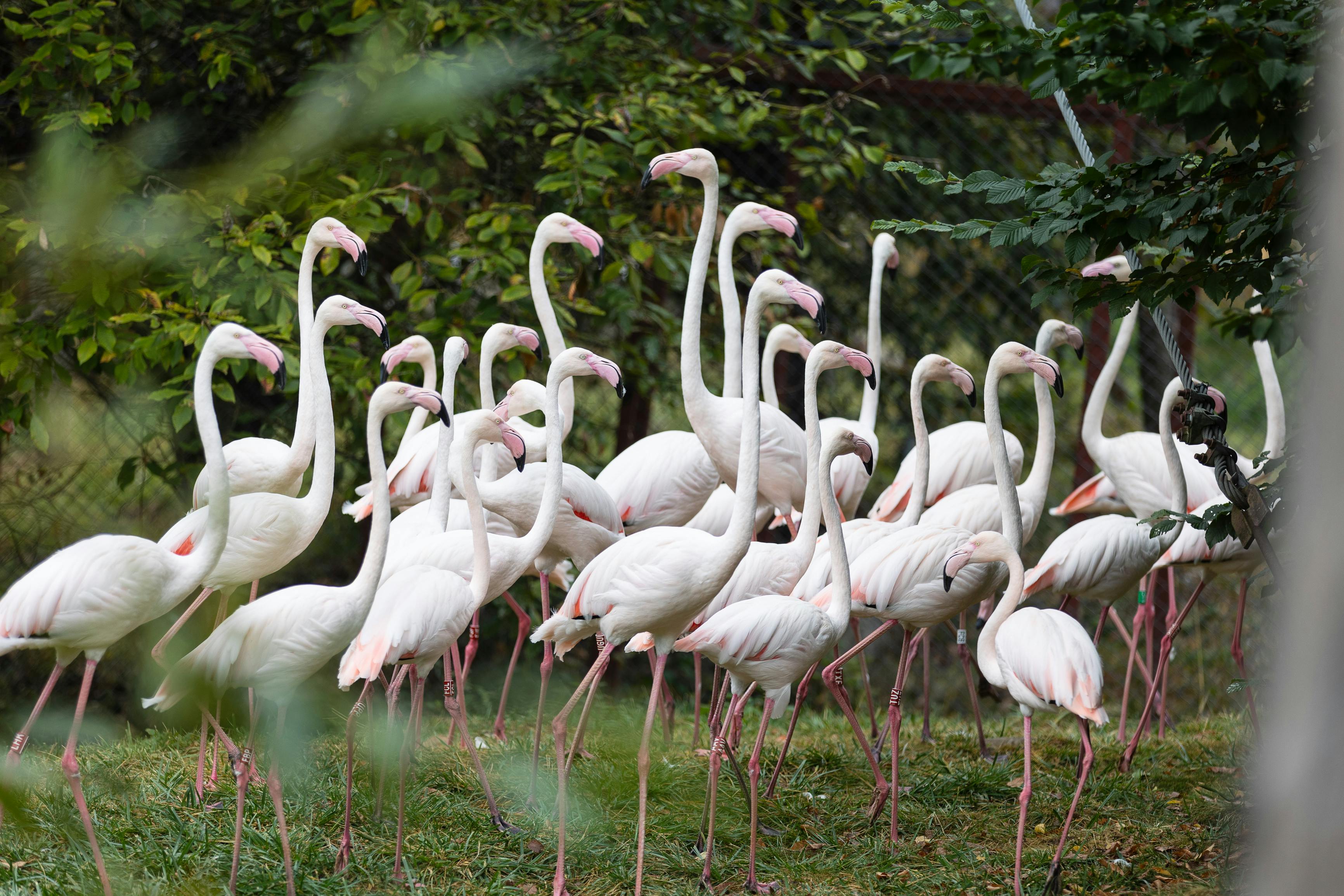 Târgu Mureș, Romania - travel photo