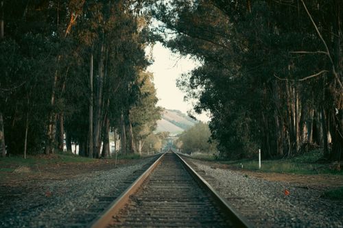 Free Peaceful railway track surrounded by tall trees, depicting tranquility and nature's beauty. Stock Photo