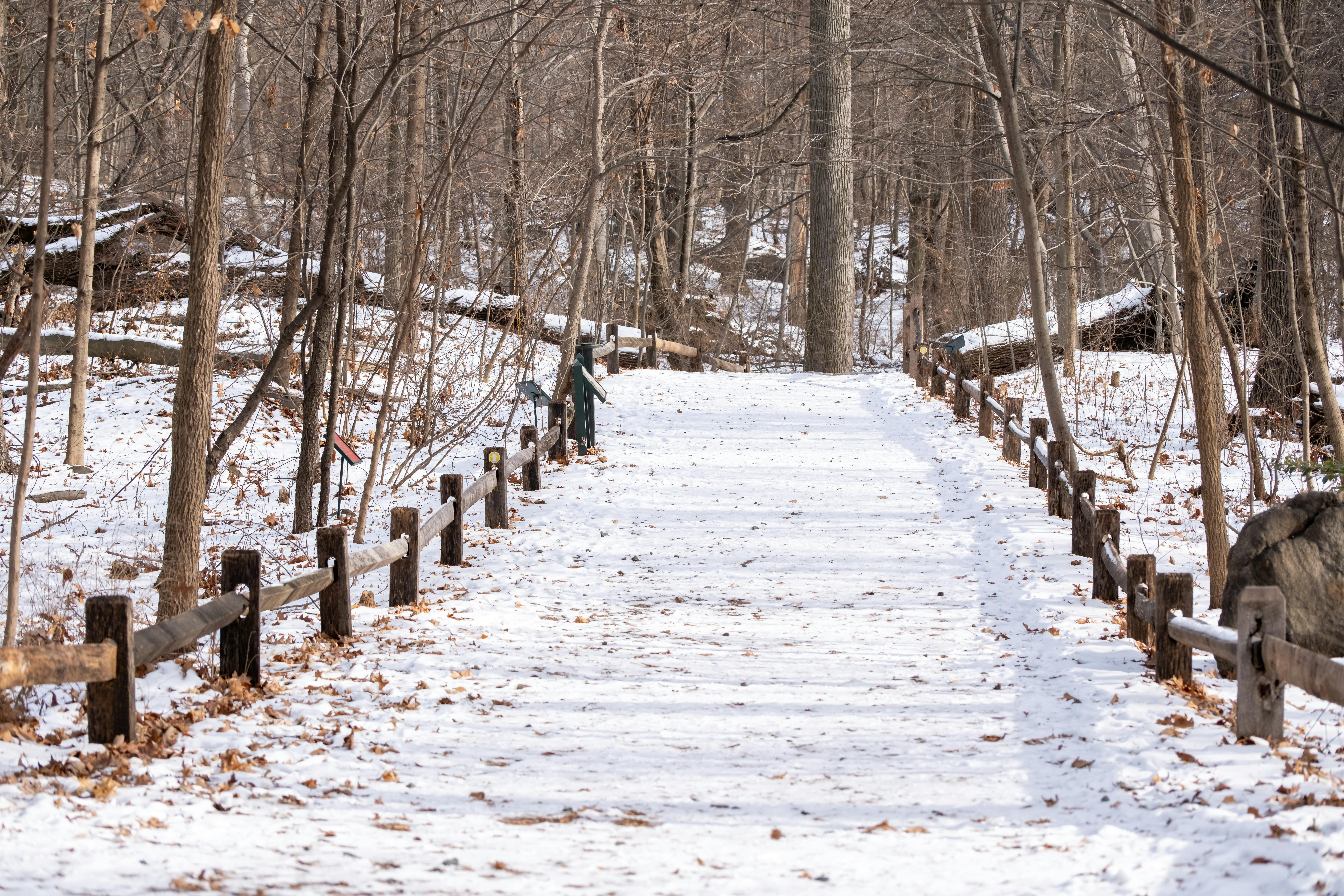 DuPage Forest Preserve executive director leaving for city manager job in Florida — Photo by _ Whittington on Pexels