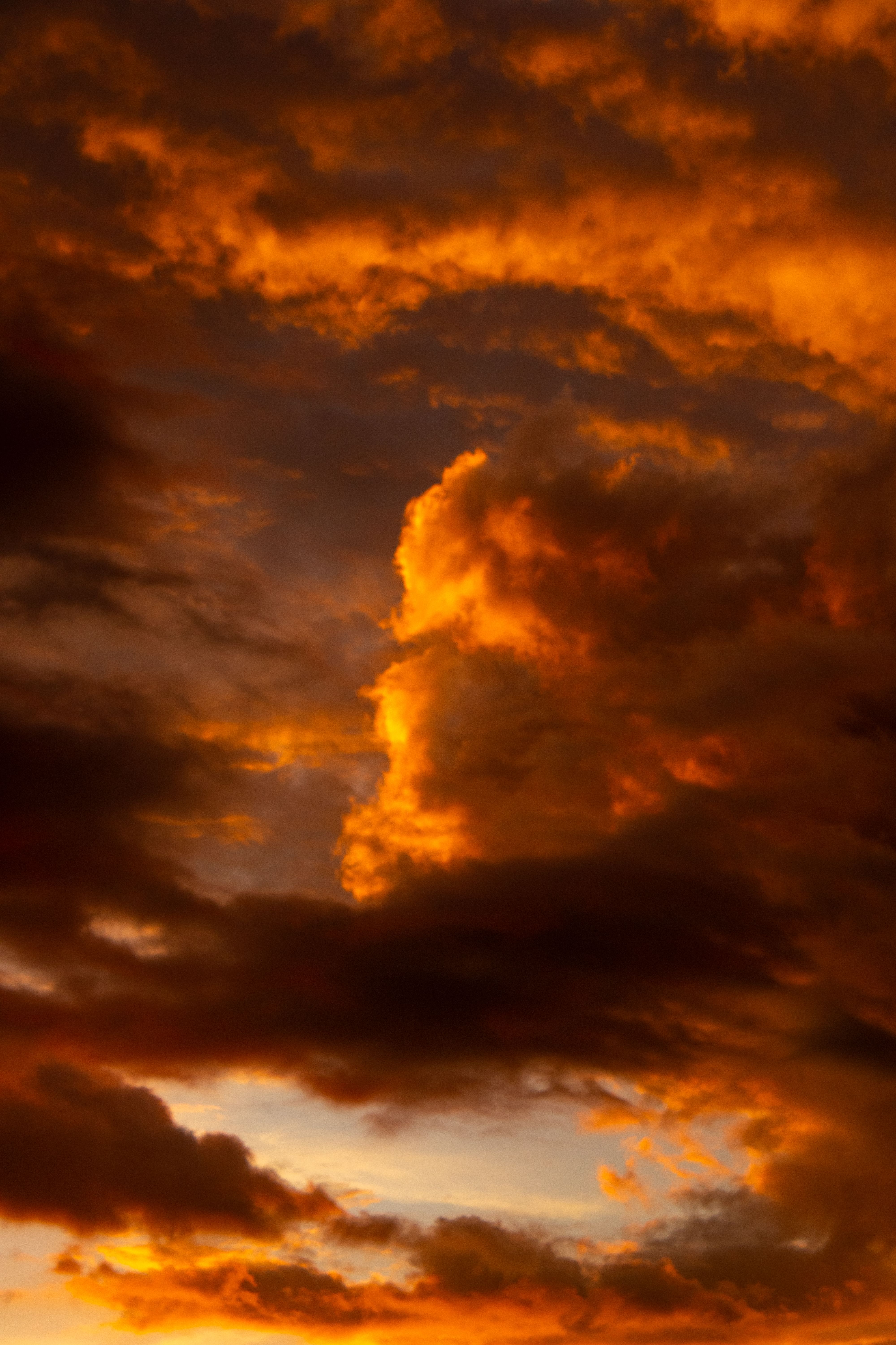 Fotomural Fotolia