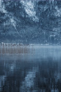 A serene winter landscape with a calm lake reflecting snow-covered mountains and reeds.