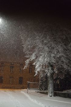 Snowfall at night illuminates a tree and vintage building facade.