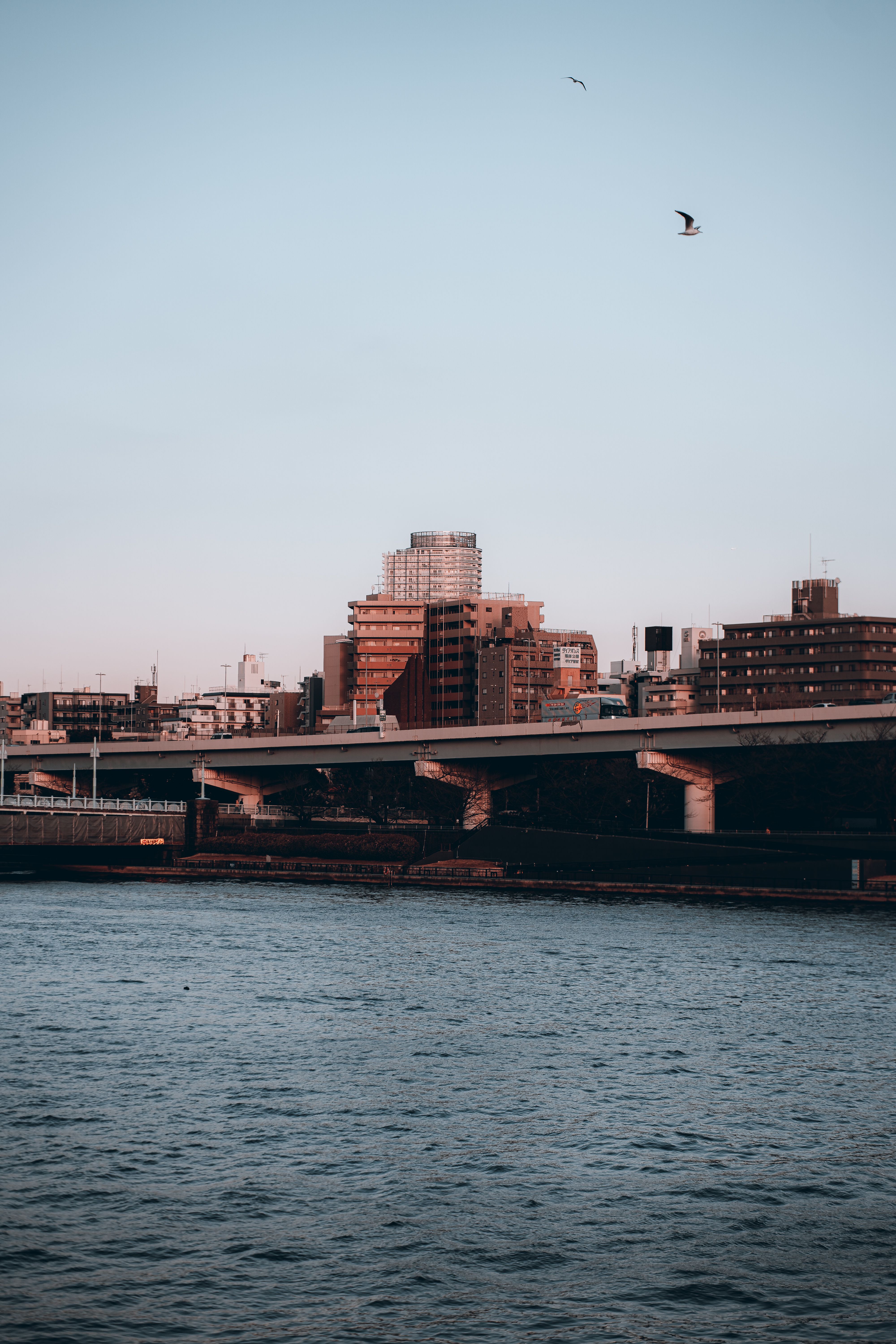 Urban River at Dusk in Tokyo, Japan · Free Stock Photo