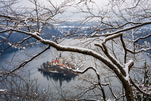 Captivating winter view of snow-covered Bled Island through leafless branches in Slovenia.