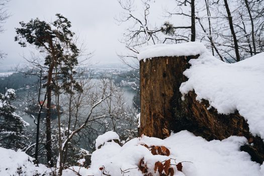 Snow-covered forest overlooking Lake Bled, Slovenia, in serene winter setting.