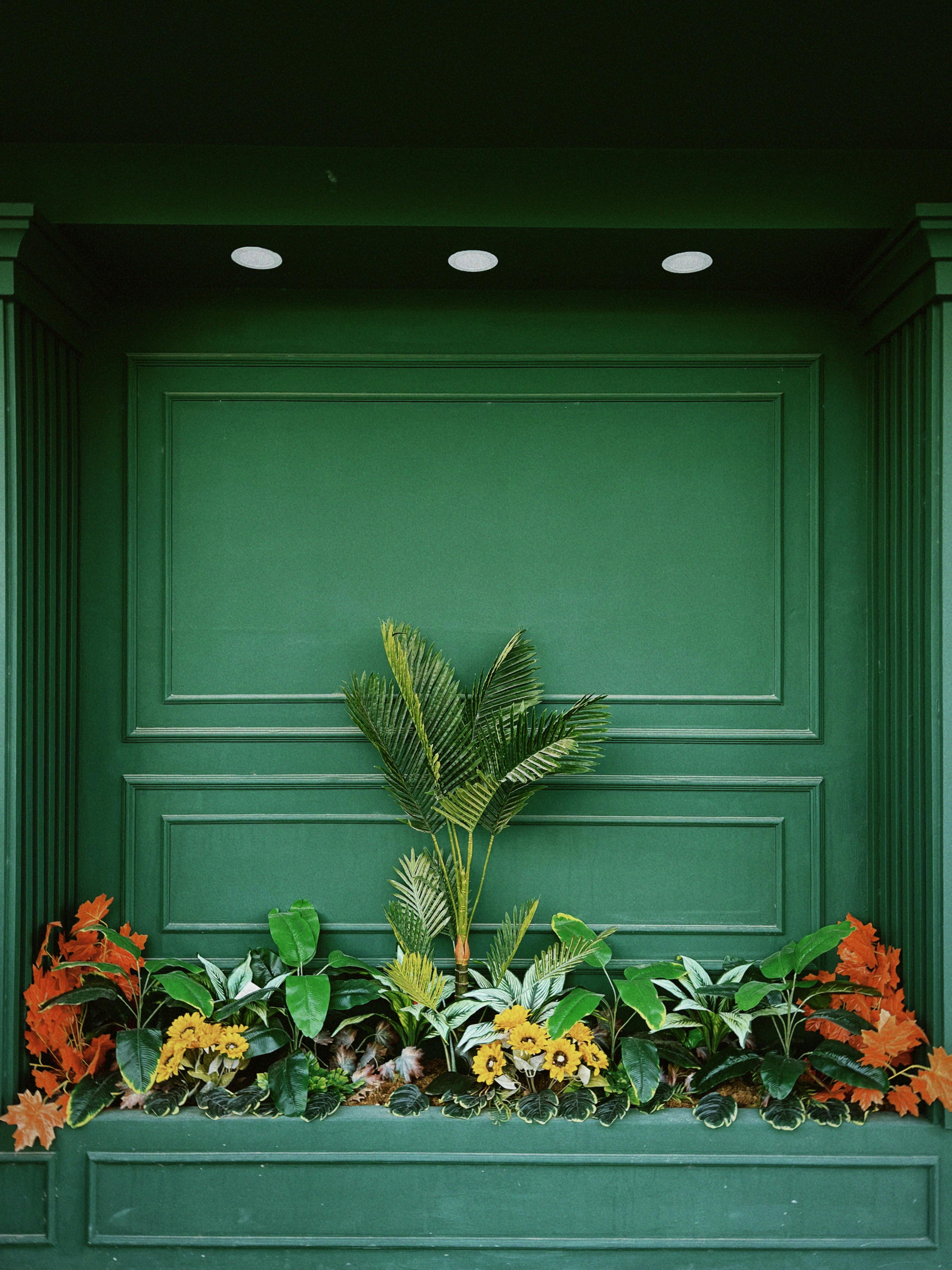 Green wall with a mix of tropical and autumn foliage, creating a vibrant botanical display.