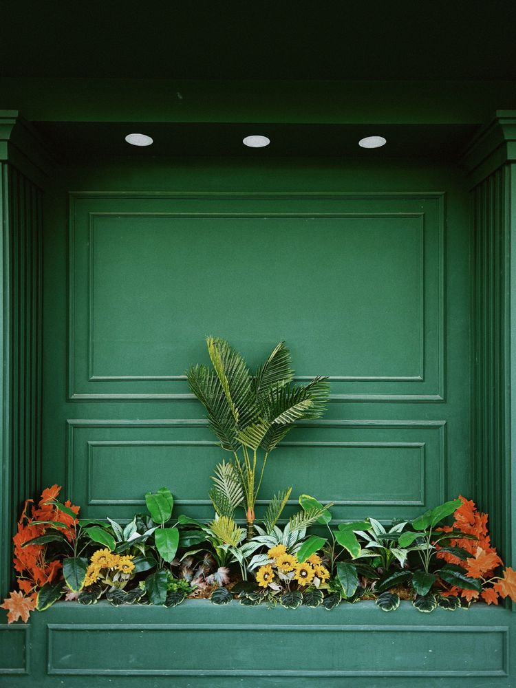 Green Color Photos, Download The BEST Free Green Color Stock Photos ...