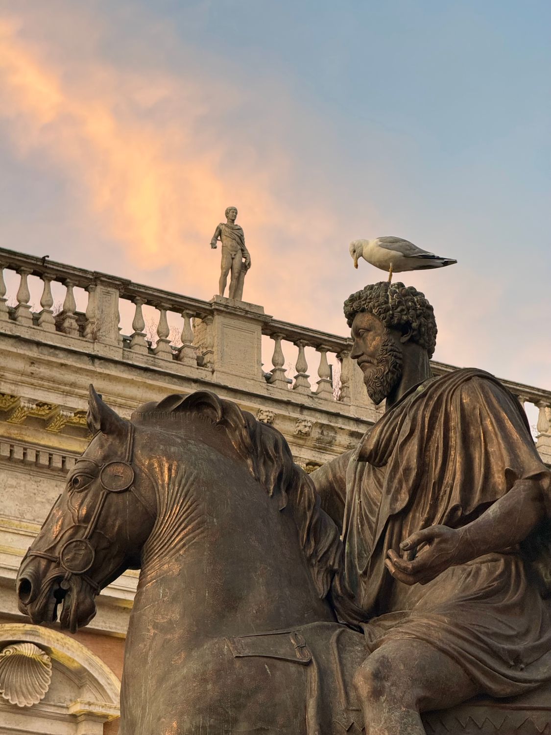 Marcus Aurelius Statue With Bird On Head Free Stock Photo marcus-aurelius-statue-with-bird-on-head-free-stock-photo