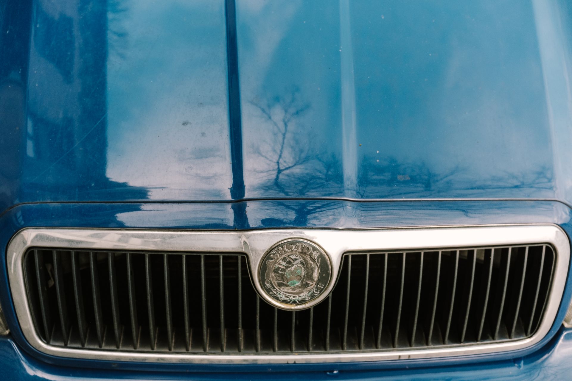 Detailed close-up of a blue vintage car grille and hood with distinct metal emblem.