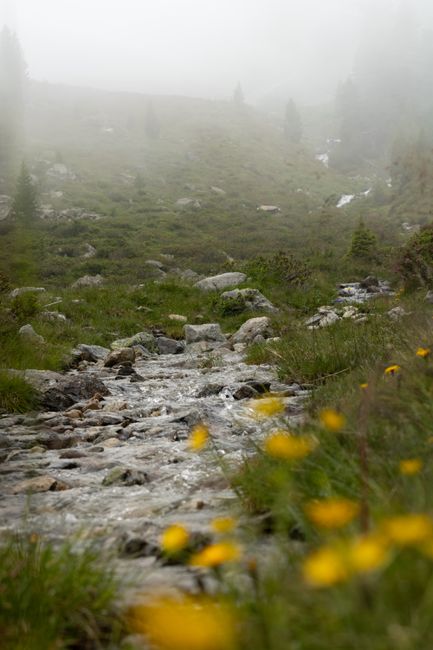Serene misty alpine landscape with a stream flowing through lush greenery in Kuhtai, Tirol.