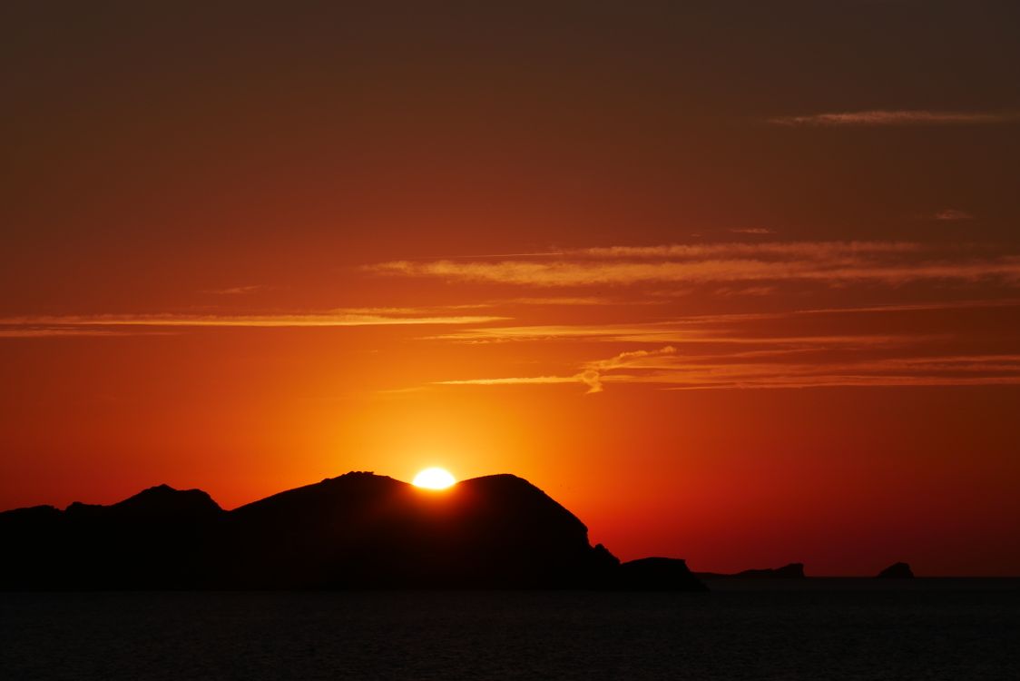 Where Locals Actually Eat in Ibiza: Seaside Tables, Village Tavernas & Farm-to-Plate Gems (2026)