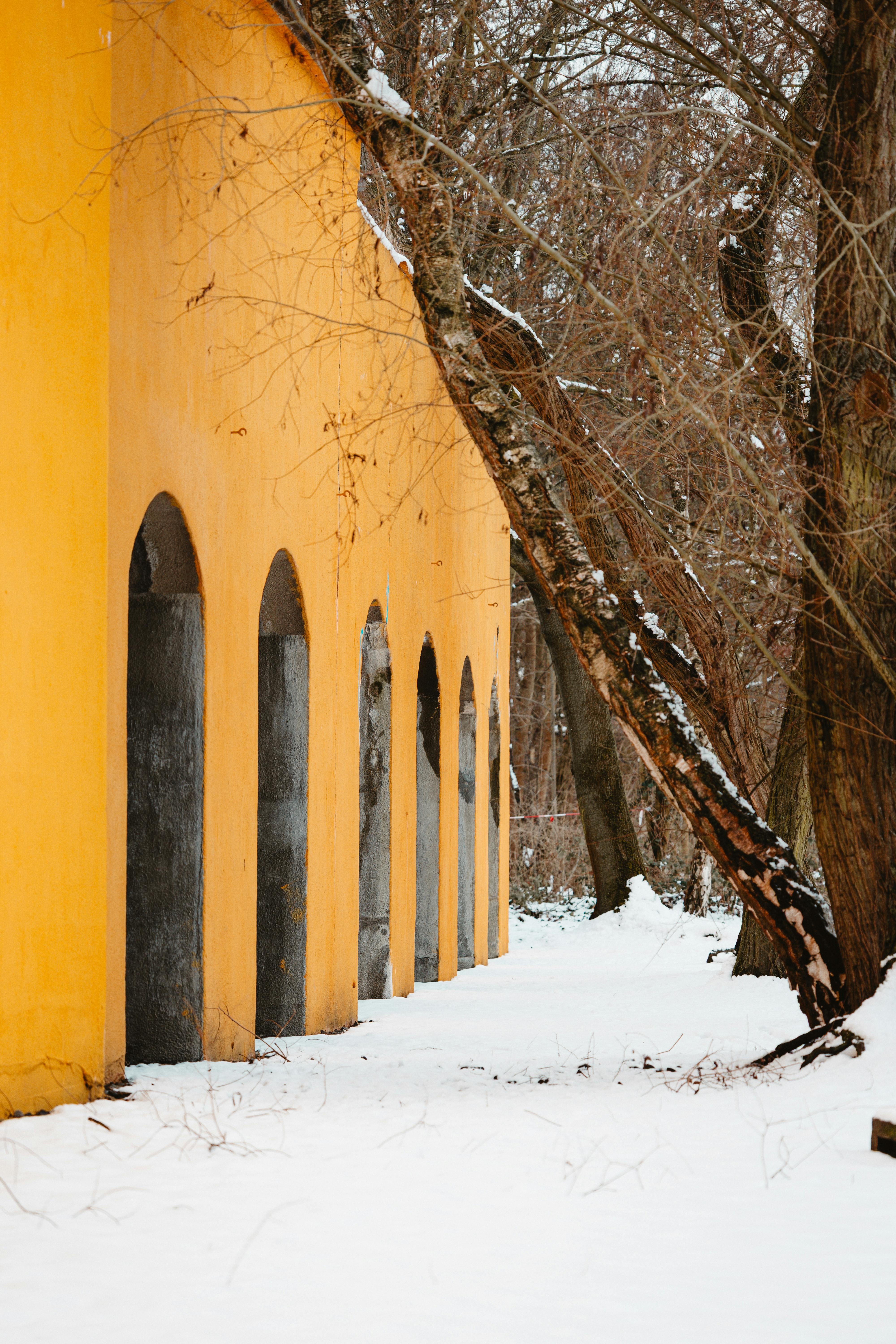 Snowy landscape with a vibrant yellow wall and arches in a Berlin park