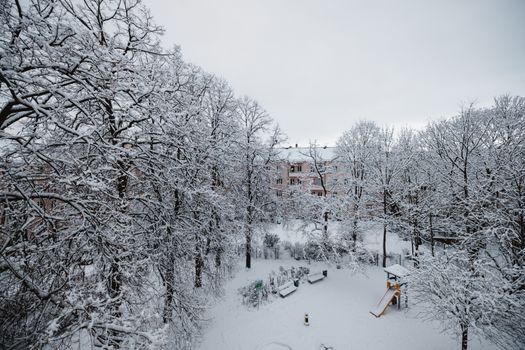 A serene winter scene in Berlin with snow-laden trees and a peaceful park view.
