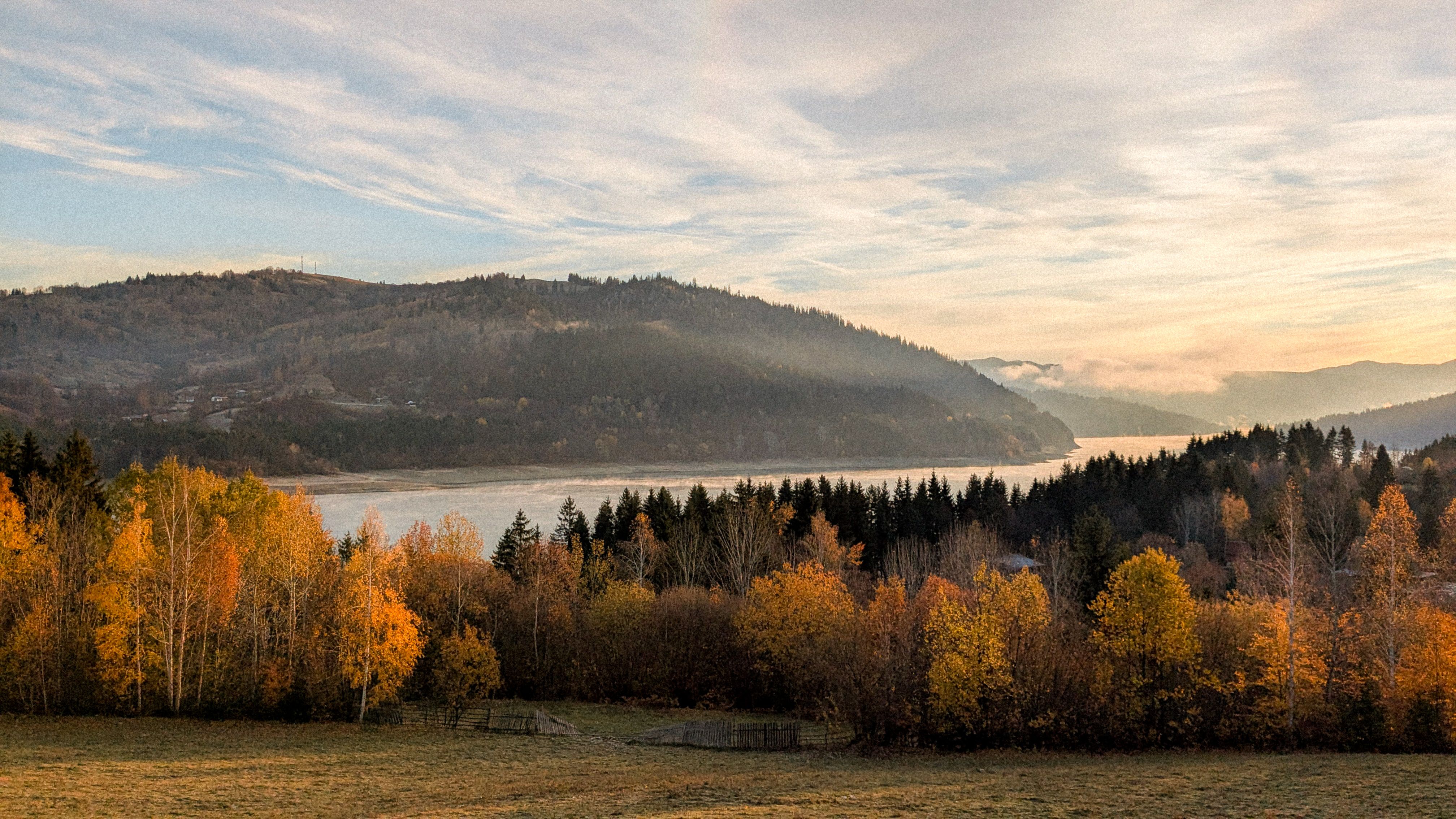 Suceava
