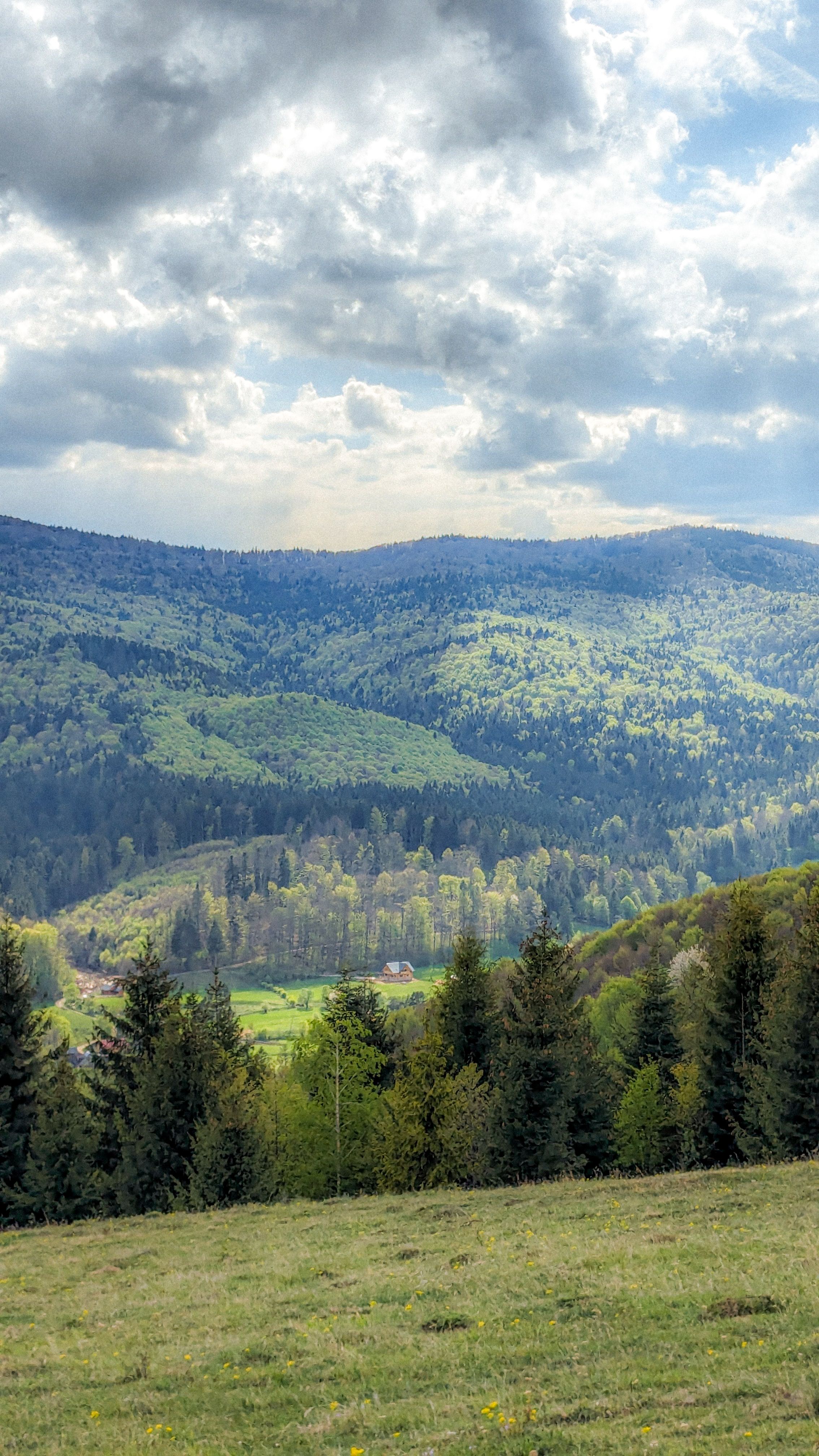 Expansive view of green mountains and dense forests under a cloudy sky, capturing nature's beauty.