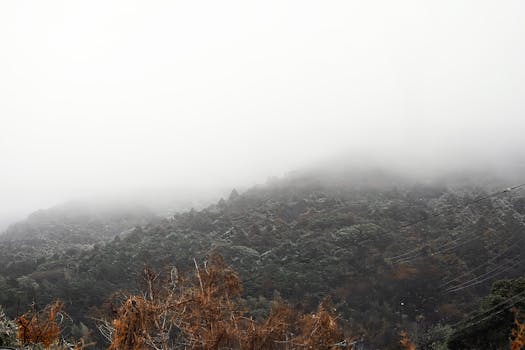 A serene mist-covered mountain landscape with dense fog and lush greenery.