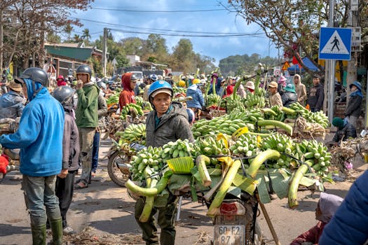 Busy street market scene with vendors and motorcycles loaded with bananas.