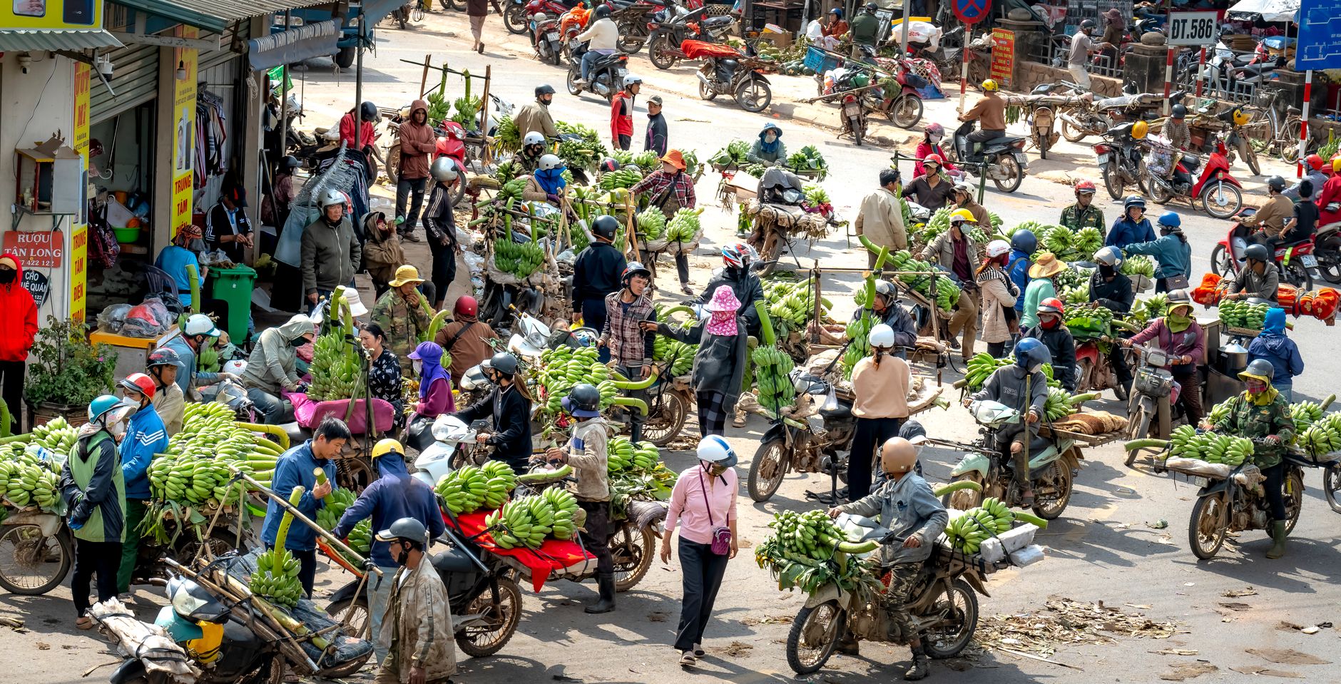 Kinh tế xanh đang nổi lên như một xu hướng tất yếu, mở ra chương mới cho sự phát triển…