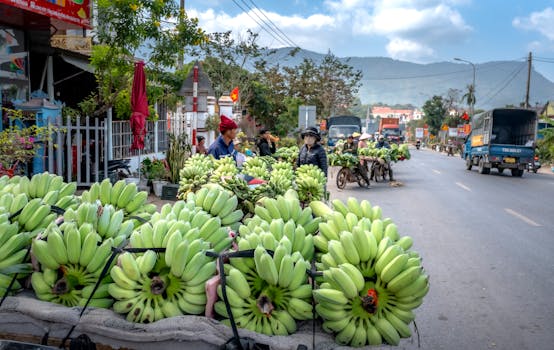 Busy street market with vendors selling fresh green bananas, vibrant and bustling.