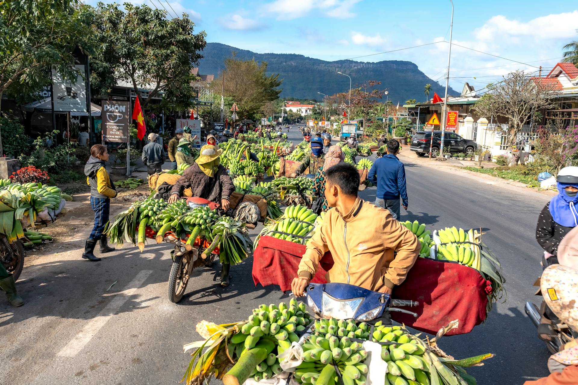 Vibrant scene of motorbikes laden with fresh bananas at a local market street, under a clear sky.