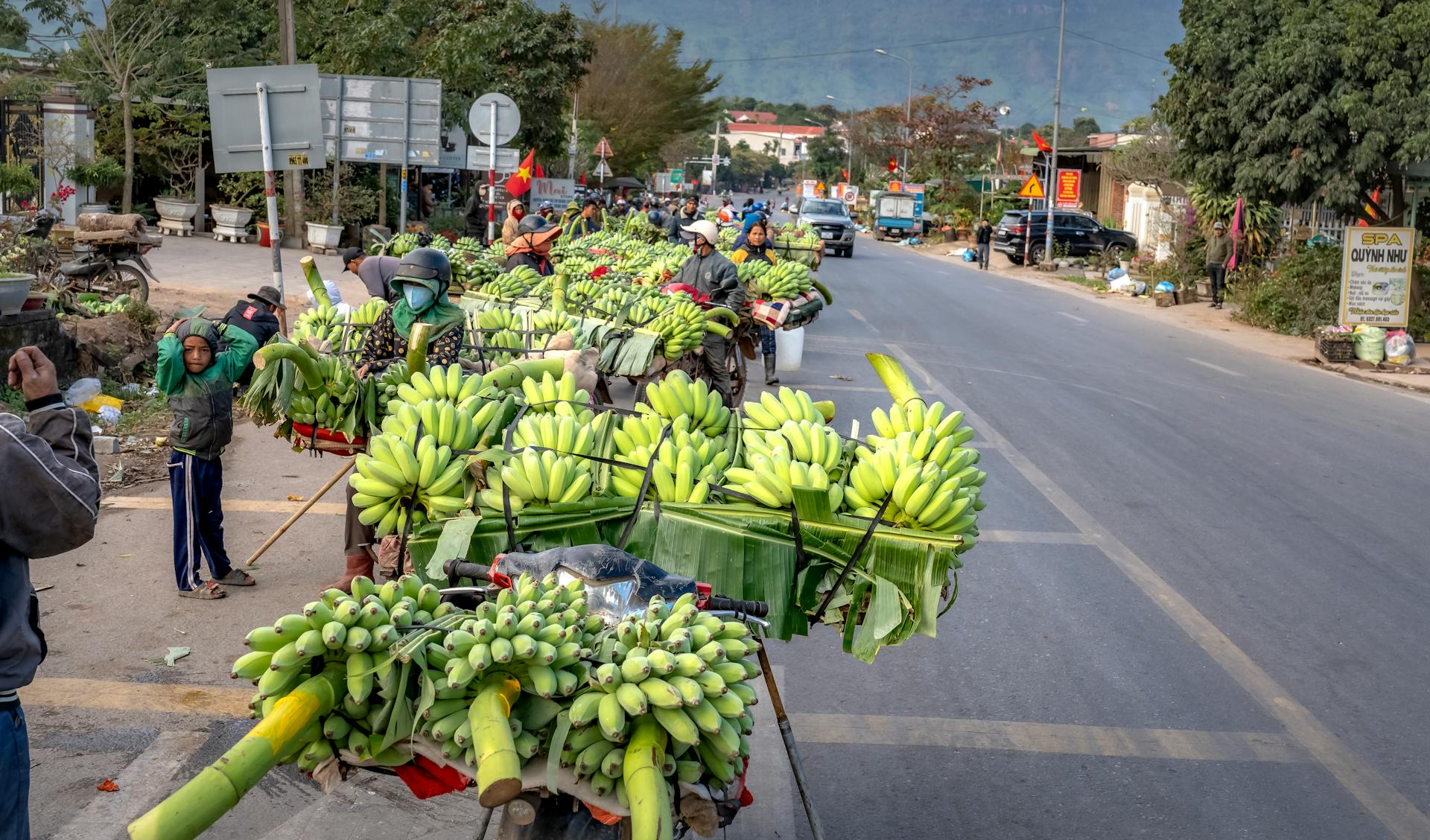 Motorbikes transporting bananas at a vibrant street market, illustrating a busy trading scene.