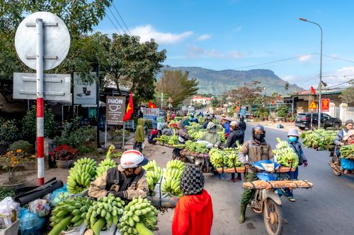 Free A vibrant street market in Vietnam with vendors selling bananas on motorcycles. Stock Photo