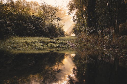 Gratis lagerfoto af dis, falde, landskab