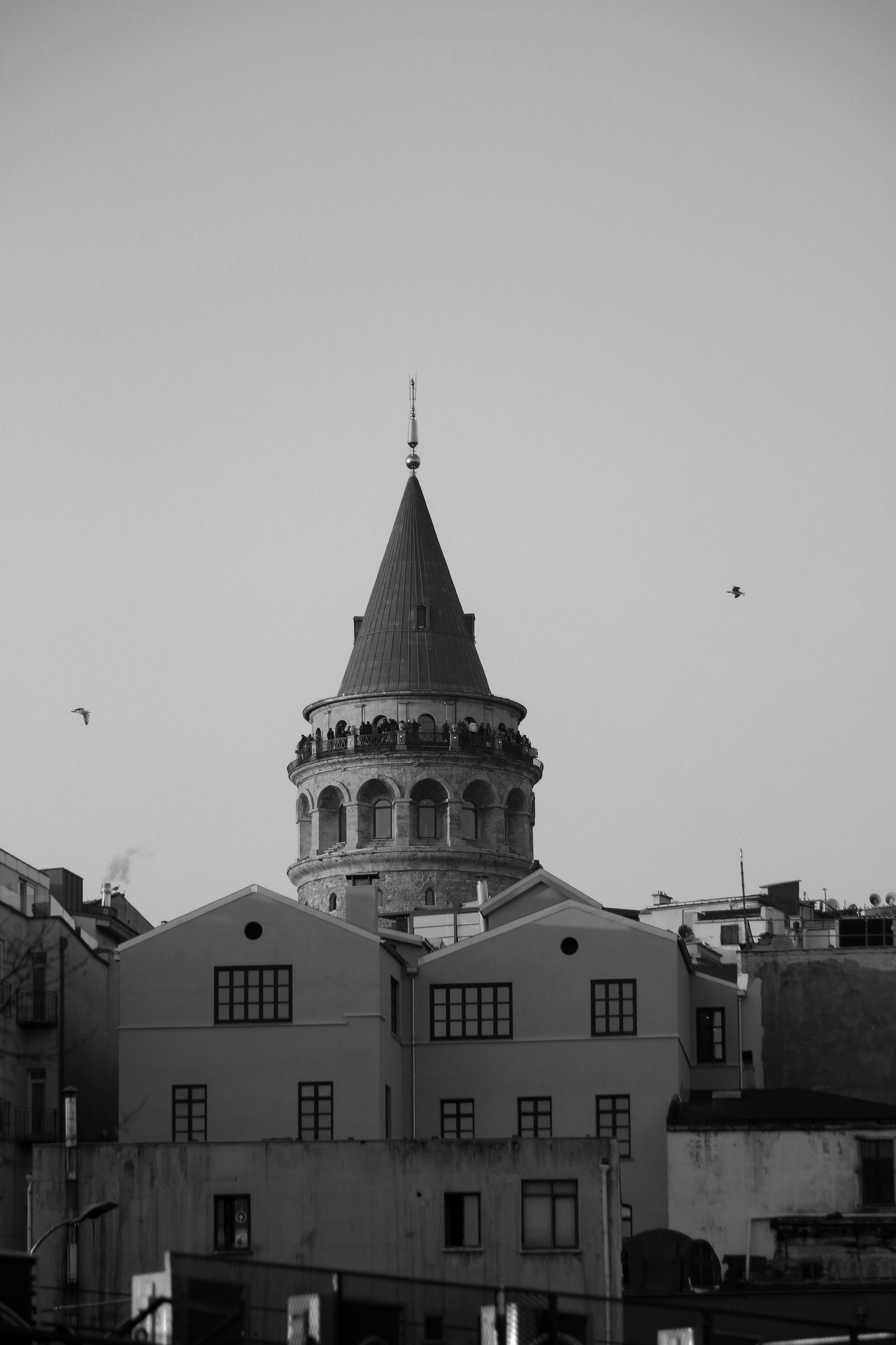 Black and white view of Galata Tower among traditional Istanbul buildings, evoking a classic cityscape.