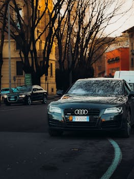 Elegant black cars on a city street with bare trees in autumn light.