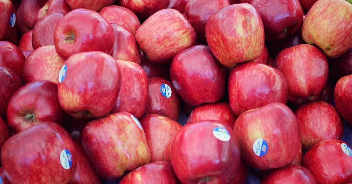 財經:你該知道的蘋果庫克訪華背後的商業考量與挑戰